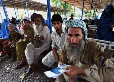 آغاز مجدد بازگشت داوطلبانه مهاجران افغانستانی از پاکستان