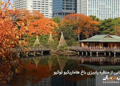 باغ هاماریکیو توکیو ؛مقصد محبوب گردشگر ها، عکس