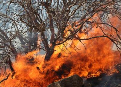 طراح نمای ویلای دوبلکس: آتش سوزی در جنگل های بلوط باغملک