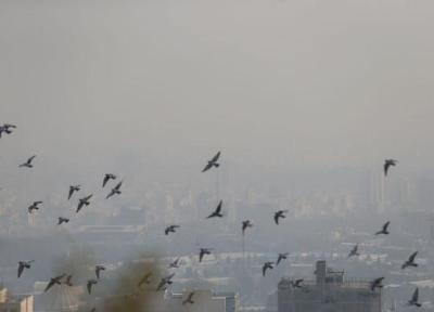 تصمیم مهم استانداری درباره آلودگی هوا ، مدارس و دانشگاه های تهران و البرز غیرحضوری شد ، کودکستان ها تعطیل شدند