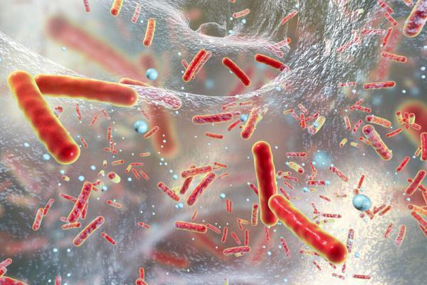 عکس ، درمان یک سرطان خطرناک با مهندسی معکوس این باکتری !