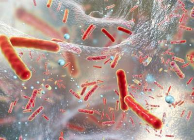 عکس ، درمان یک سرطان خطرناک با مهندسی معکوس این باکتری !